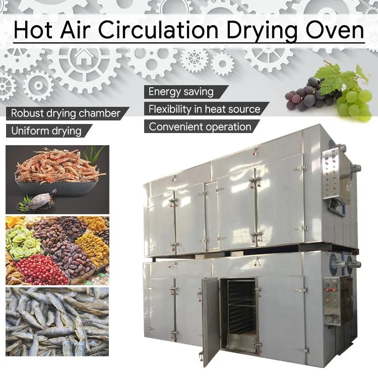 Fish Fruit Vegetable Dryer Processing Equipment Strawberry and Mango Hot Air Circulating Drying Oven